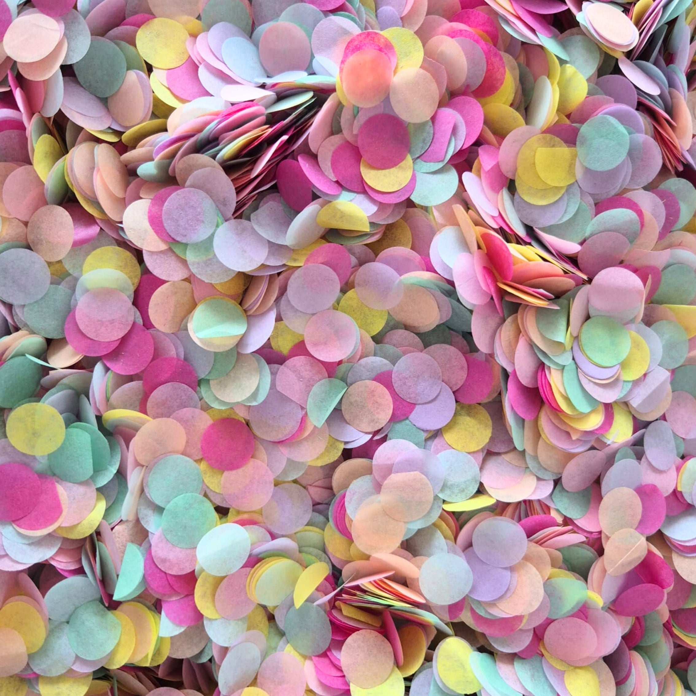 Biodegradable Paper Confetti - 1.5cm Circles - pastel party Fuschia mix