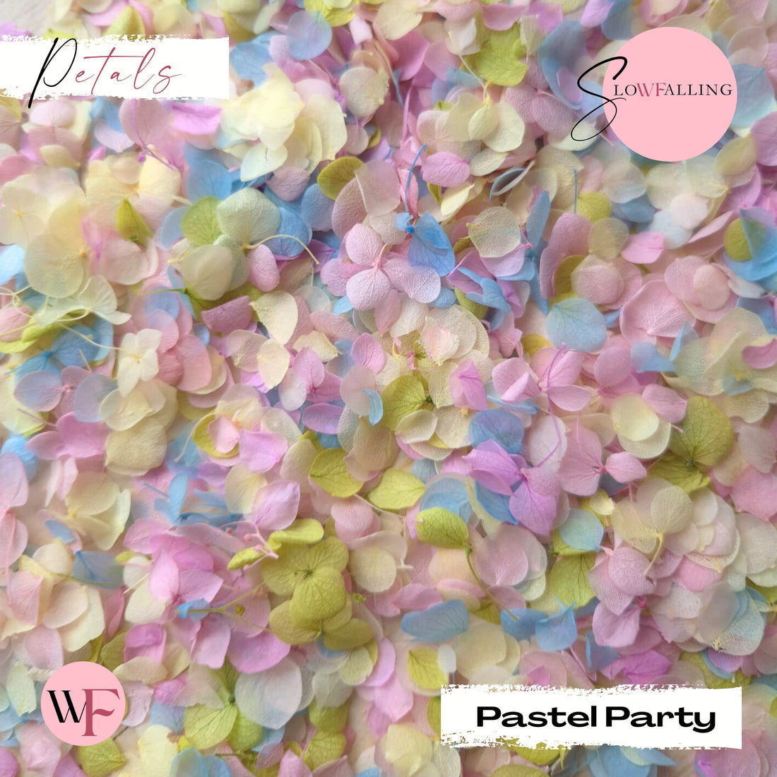 Snow petals® Hydrangeas - Pastel party mix