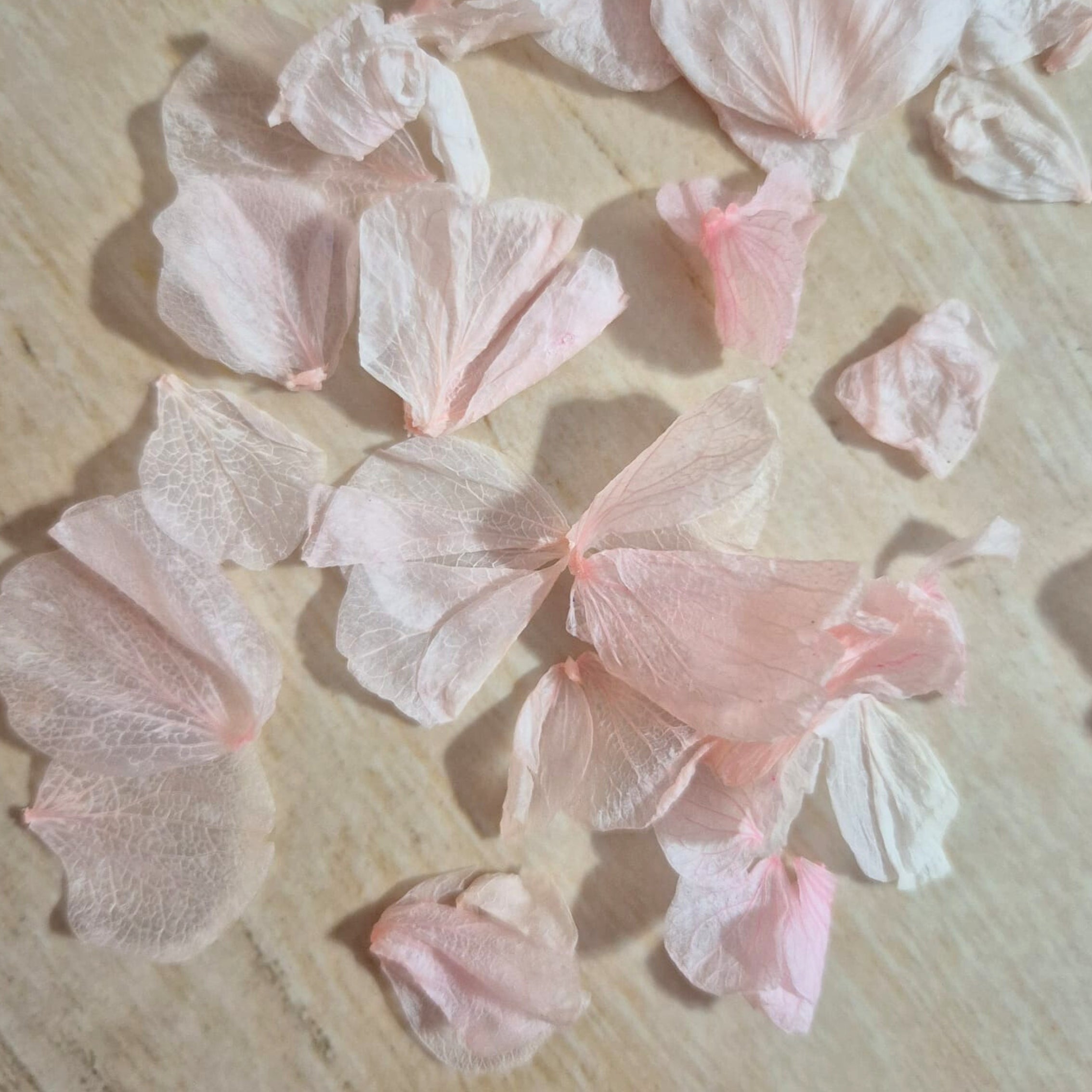 Hydrangea Petals - light Pink