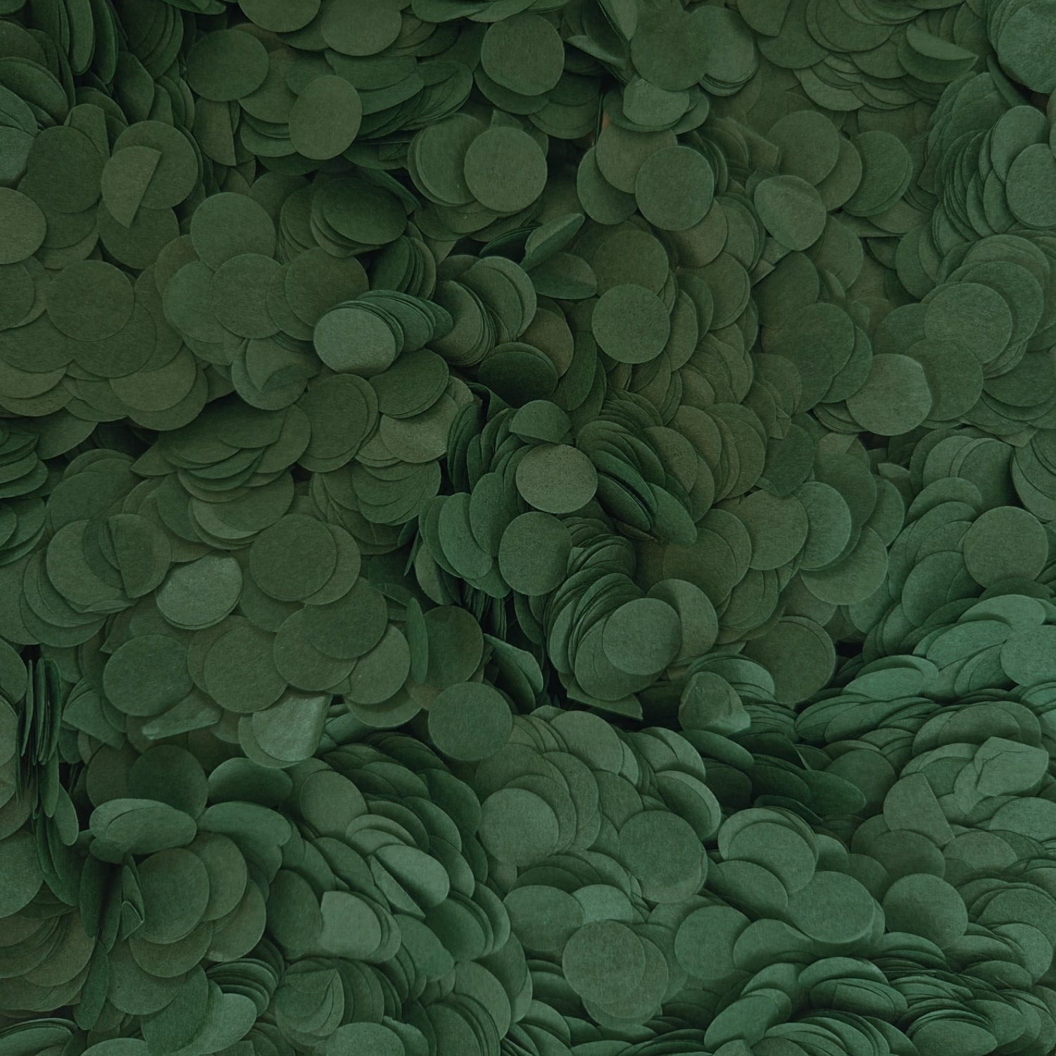 Biodegradable Paper Confetti - 1.5cm Circles - Forest Green