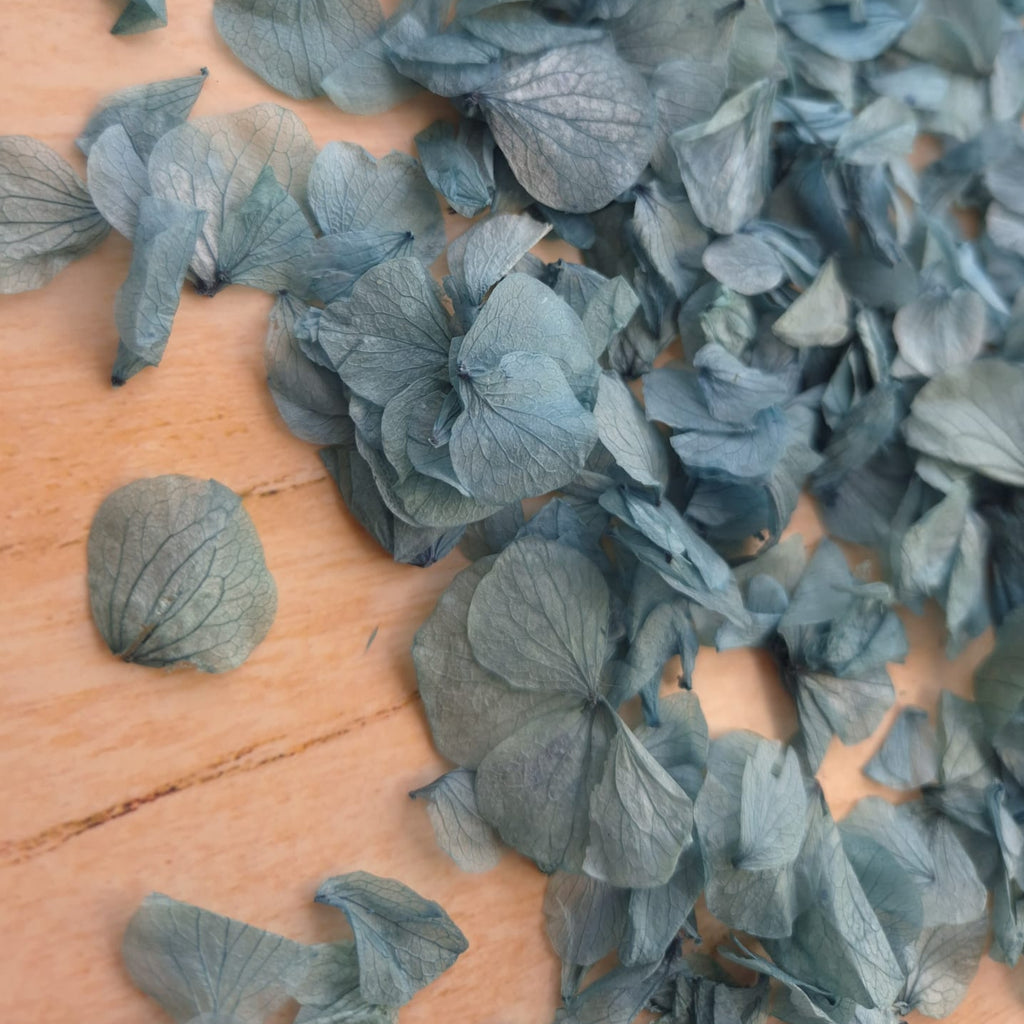 Hydrangea Petals - Blue