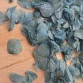 Hydrangea Petals - Blue