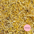 Calendula - Yellow