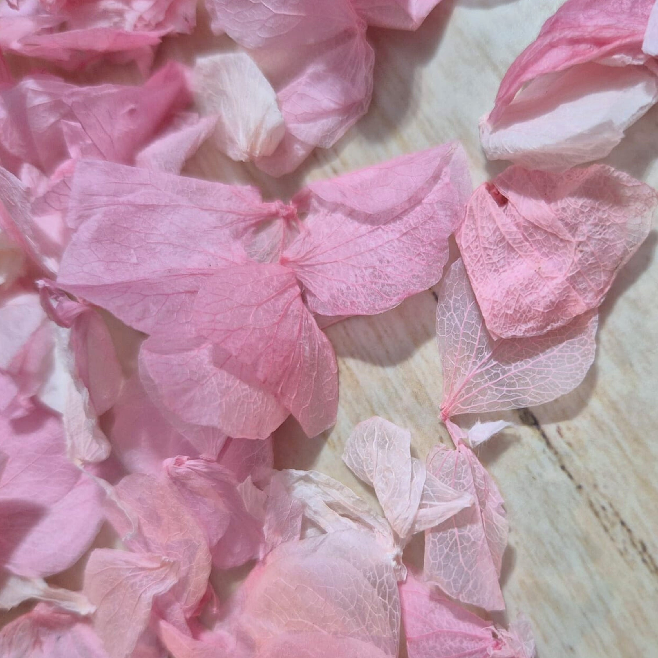 Hydrangea Petals - medium pink