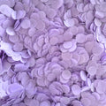 Biodegradable Paper Confetti - 1.5cm Circles - Violet