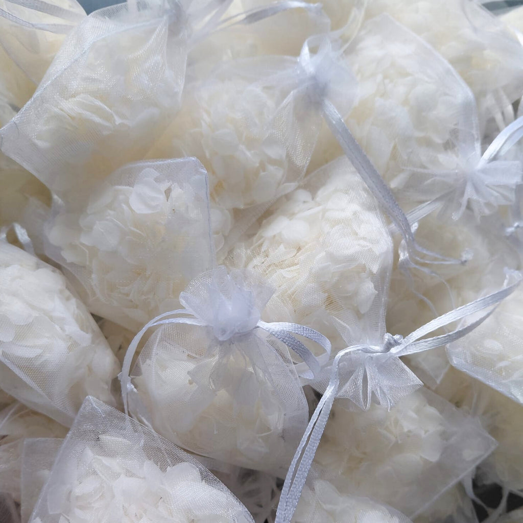 Snow petals® Hydrangeas - Wedding White