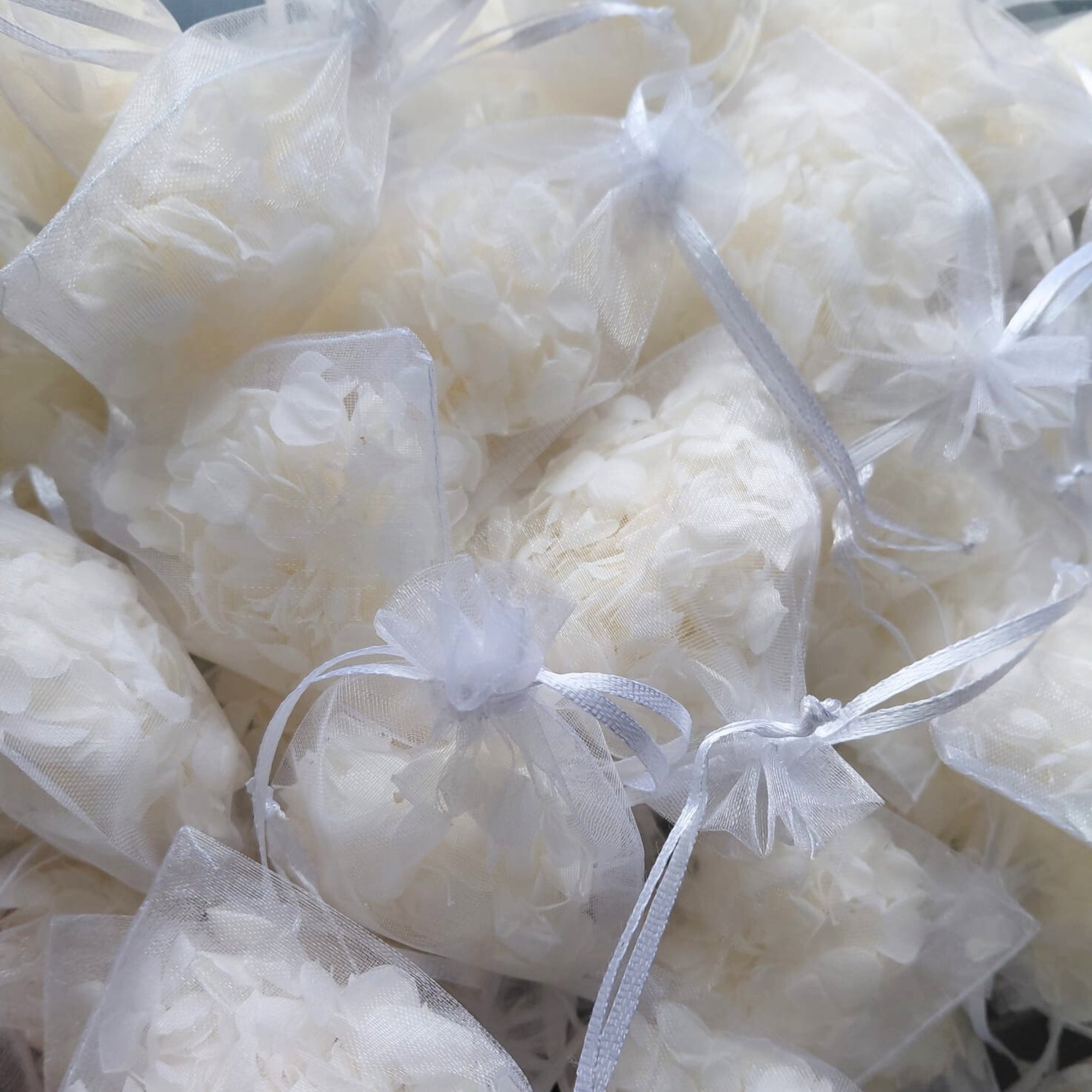 Snow petals® Hydrangeas - Wedding White