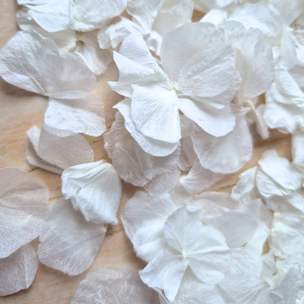 Hydrangea Petals - Wedding White