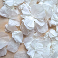Hydrangea Petals - Wedding White