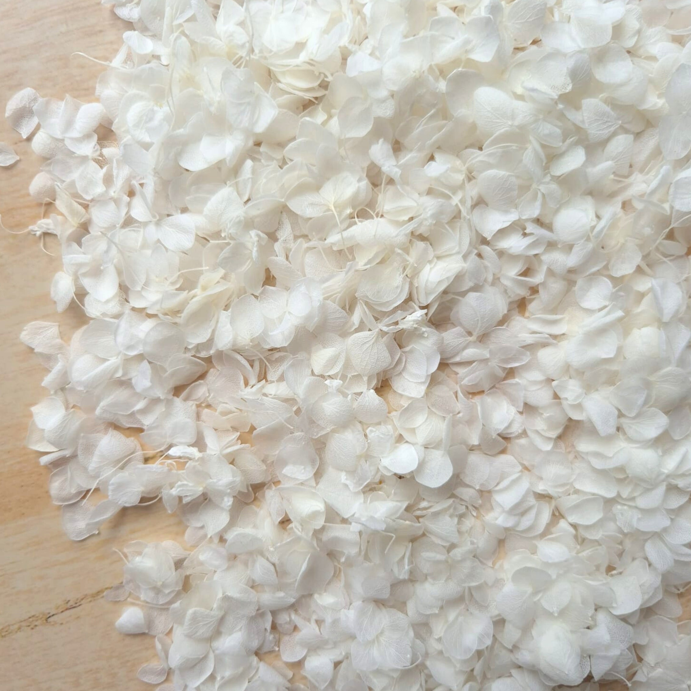 Snow petals® Hydrangeas - Wedding White