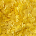 Biodegradable Paper Confetti - 1.5cm Circles - Yellow