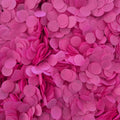Biodegradable Paper Confetti - 1.5cm Circles - Fuschia Pink