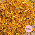 Calendula - Orange
