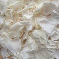 Rose petals - preserved - light ivory white