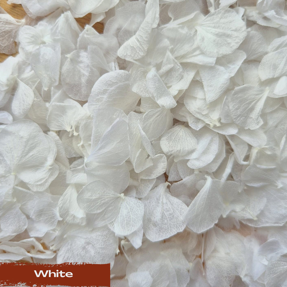 Hydrangea Petals - Wedding White