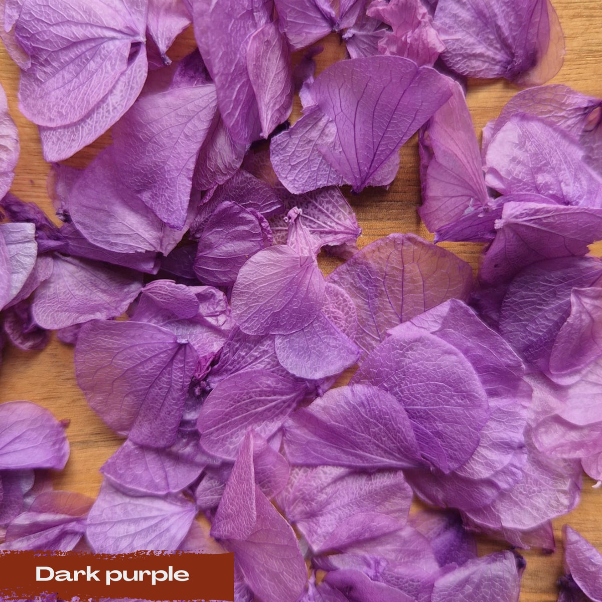 Hydrangea Petals - Dark Purple