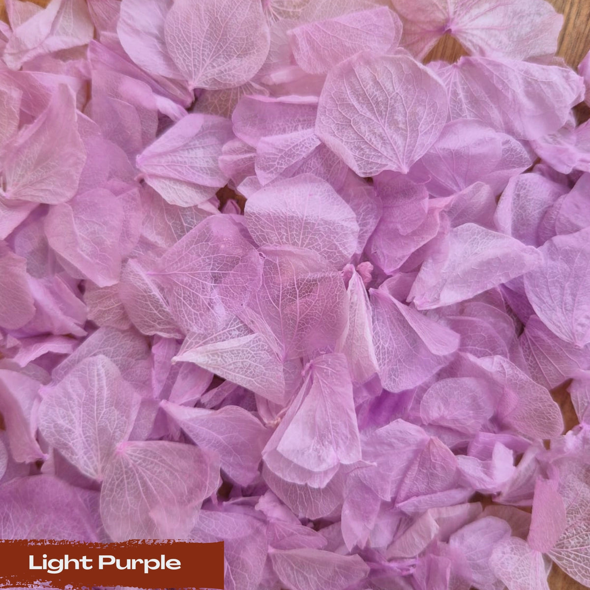 Hydrangea Petals - light Purple