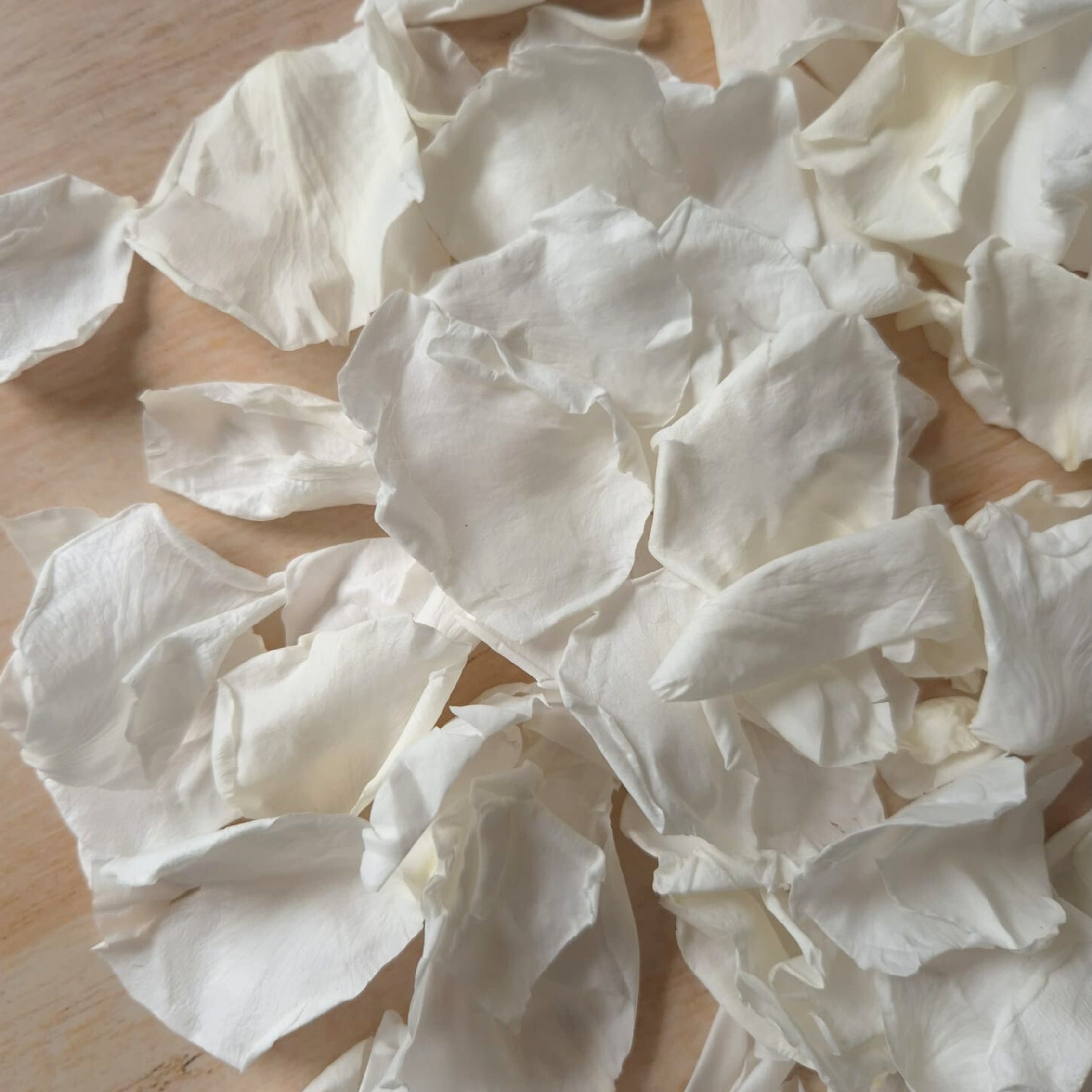 Rose petals - preserved - Wedding White