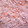 Biodegradable Paper Confetti - 1.5cm Circles - Lightest Pink