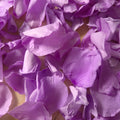 Rose petals - preserved - Purple