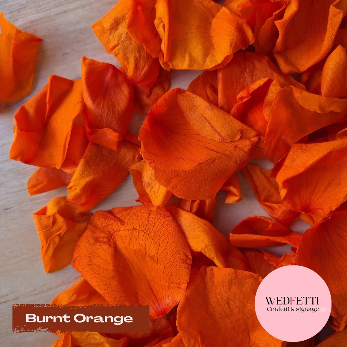 Rose petals - preserved - Burnt Orange