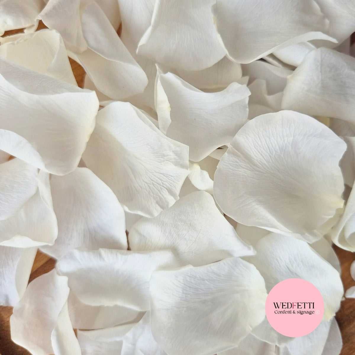 Rose petals - preserved - light ivory white