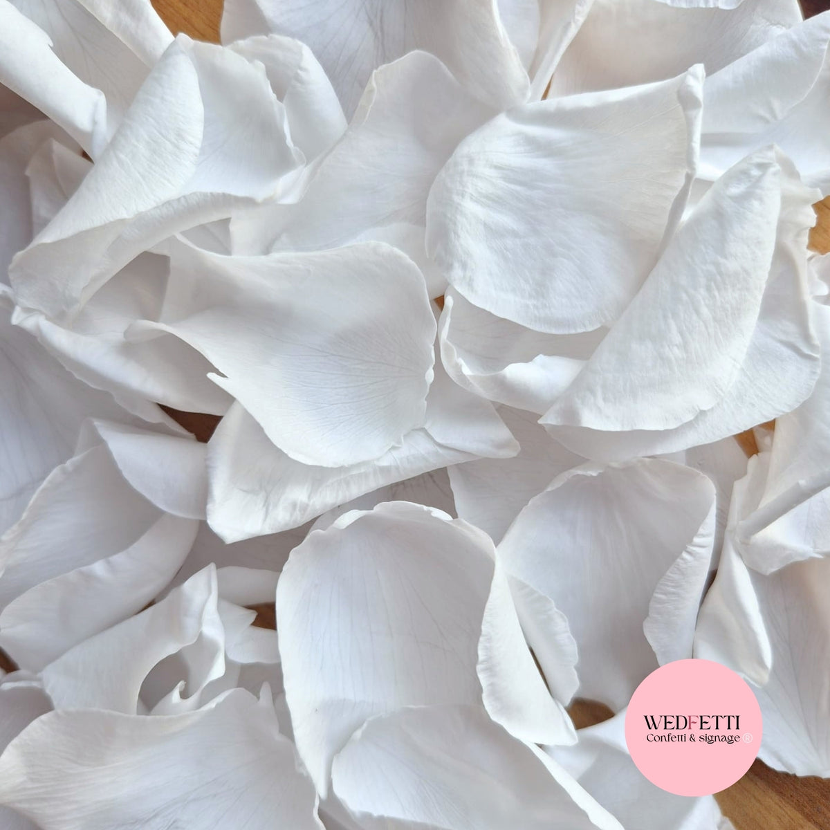 Rose petals - preserved - Wedding White